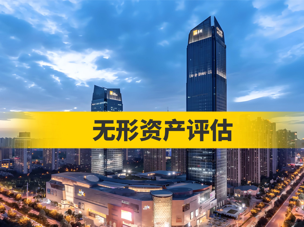 无形资产评估